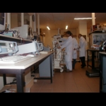 P1010025.jpg