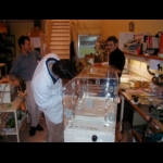 P1010034.jpg