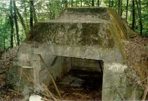 sz247_th.jpg (10997 bytes)
