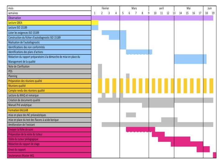 Planning pr&eacute;visionnel du projet