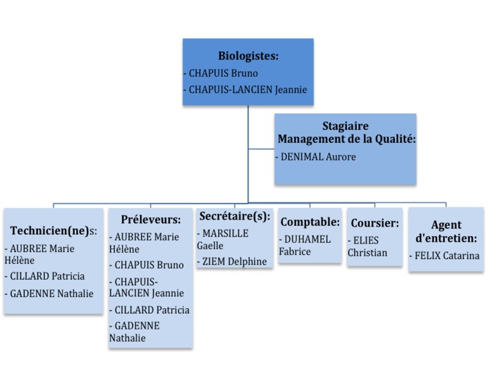 Organigramme du laboratoire CHAPUIS-LANCIEN
