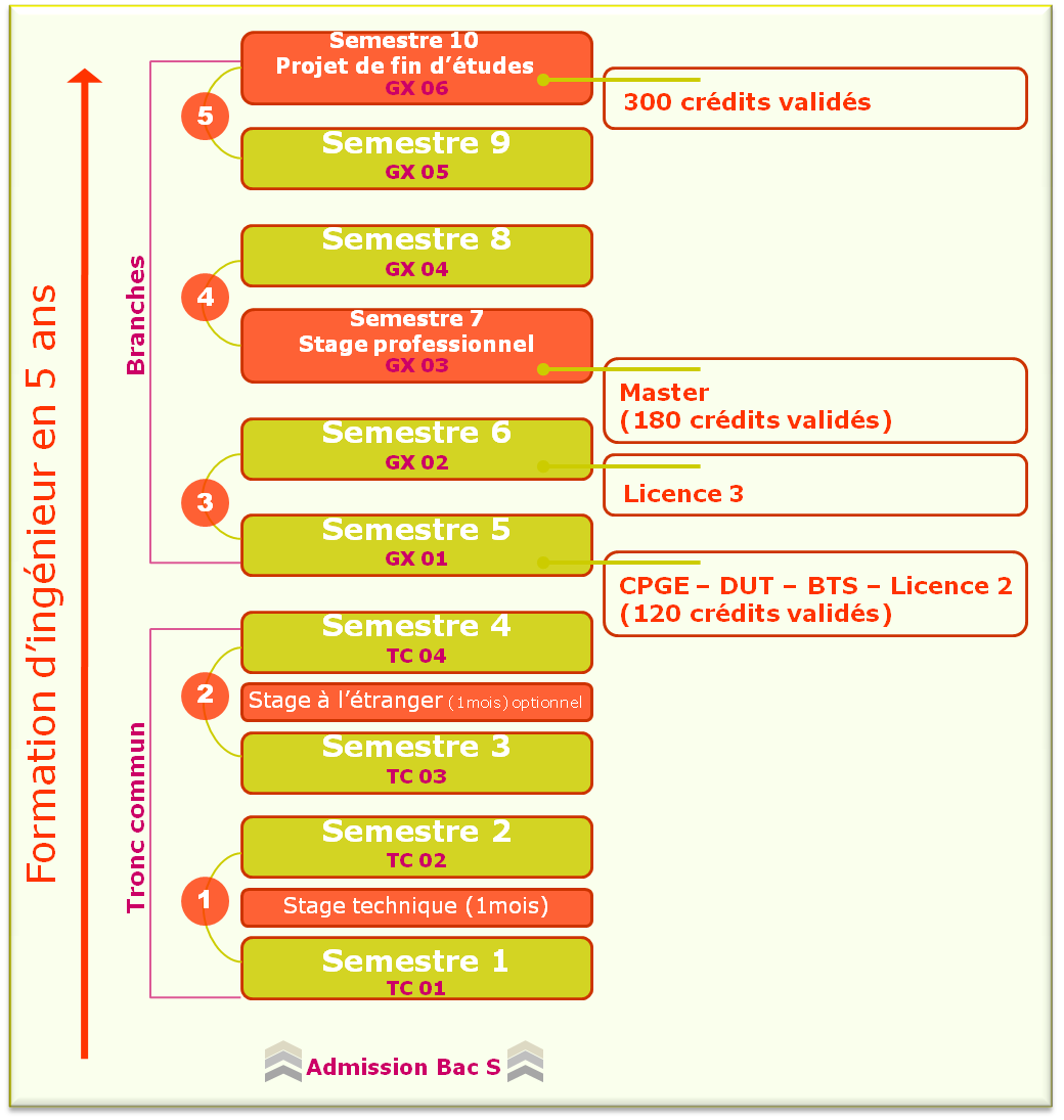 fig7