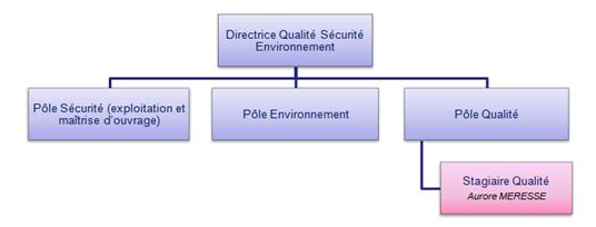 Figure 4 :
            Organisation de la Direction Qualit�� S��curit�� Environnement
            Cofiroute
