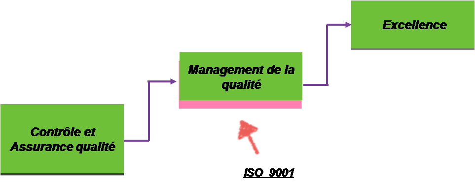 Positionnement de l’ISO 9001 dans le
        système qualité
