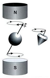 proton d’hydrogène