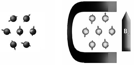 Alignement des protons