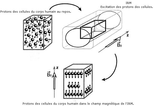 le phénomène de Résonance magnétique