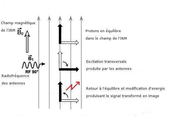 Résonance du proton d’Hydrogène