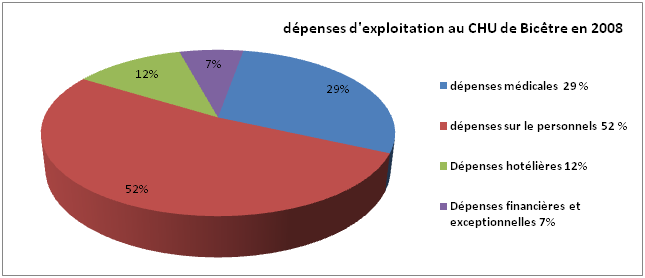 depenses 2008