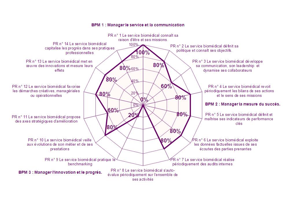 cartographie des BPM en maturite