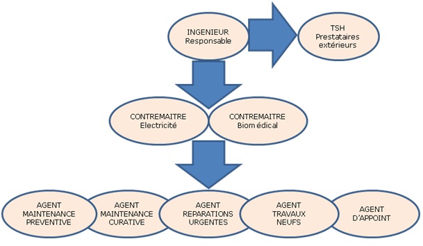 organigramme