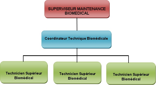 organisationbio