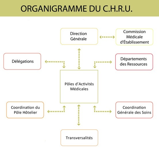 organigramme