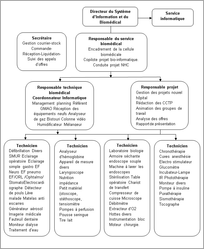 organigramme service biomedical