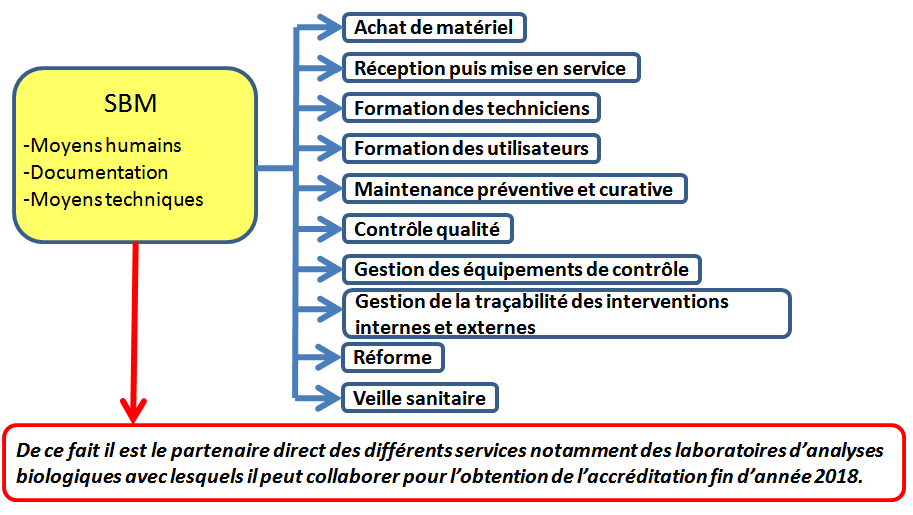 activités du
        service bio