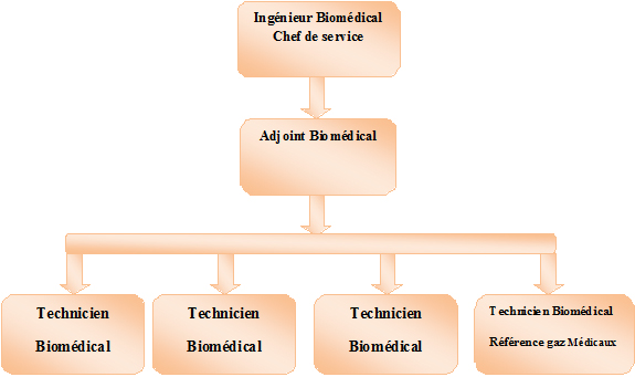 Organigramme du service
              biomédical