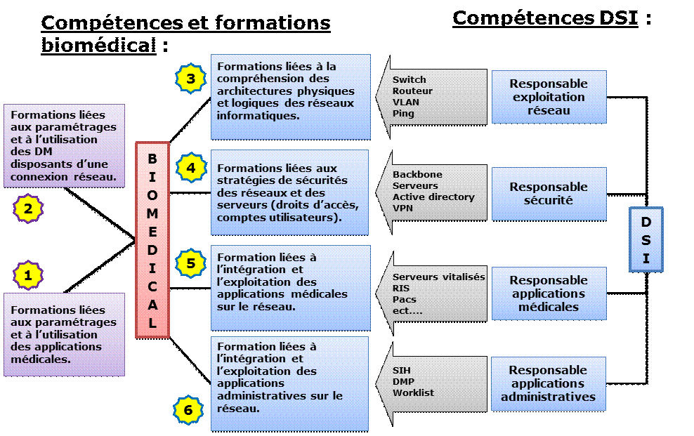 formation_bio_dsi