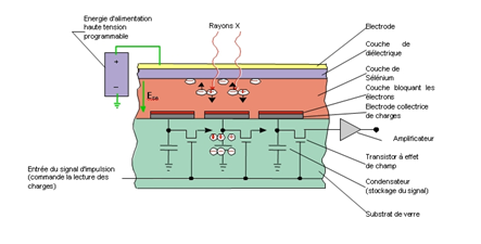 schema