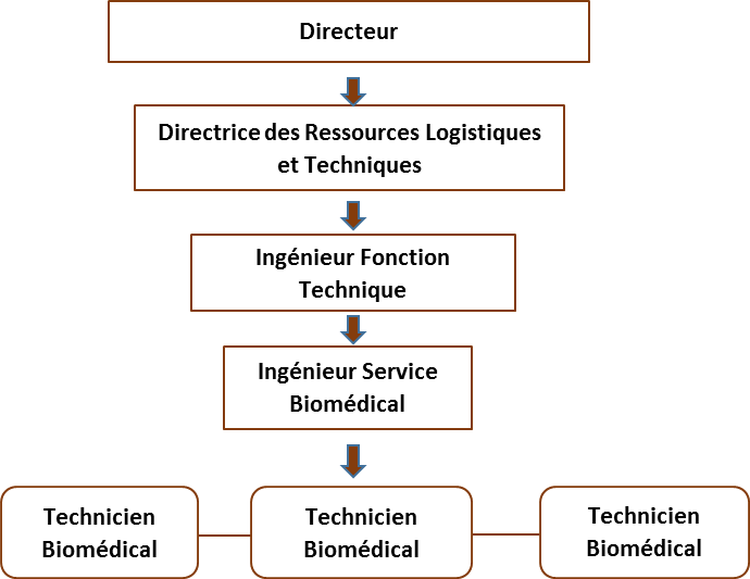 organigramme_sbm