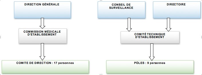 organigramme