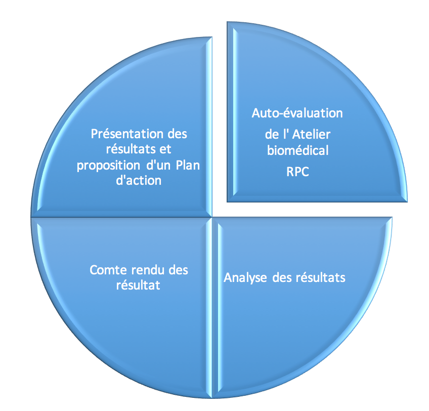 Figure 7
        Droulement de L'Auto-valuation