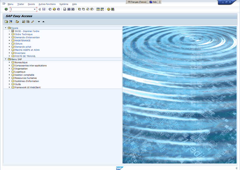 Figure 4 : Exemple : cran de
        la GMAO