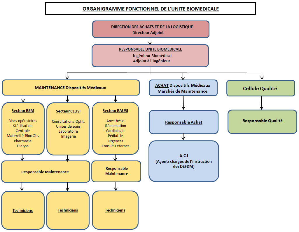 organigramme