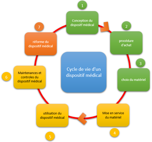 cycle de
        vie