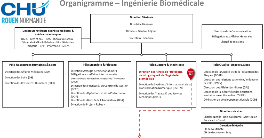 organigramme