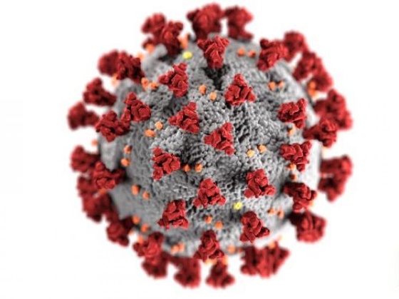 coronavirus