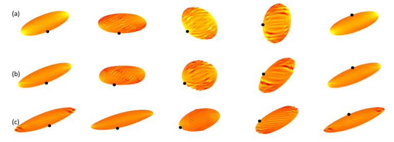 successive profiles of an ellipsoidal capsule