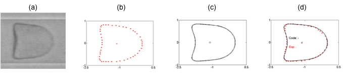 inverse analysis of a capsule flowing in a tube