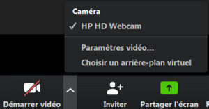 snapshot zoom video menu.thumb
