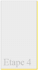 Zone de Texte: Etape 4
