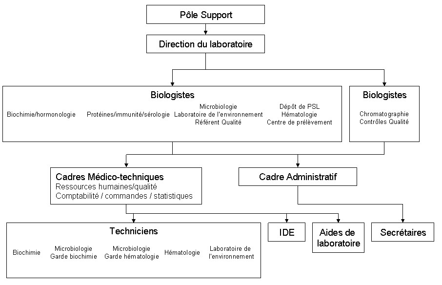 Organigramme du laboratoire
