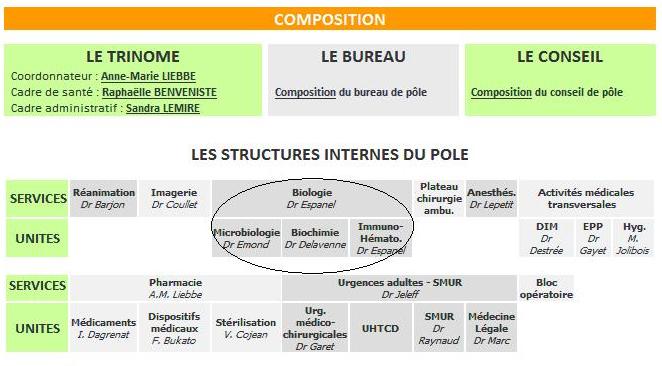 Structue du p&ocirc;le Support