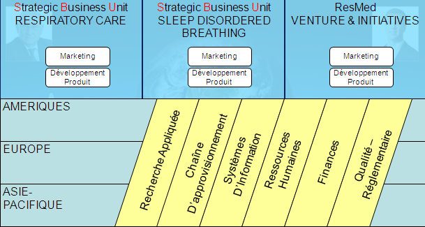 Figure 1: L'Organisation matricielle de ResMed
        Global