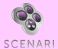 logo_senari