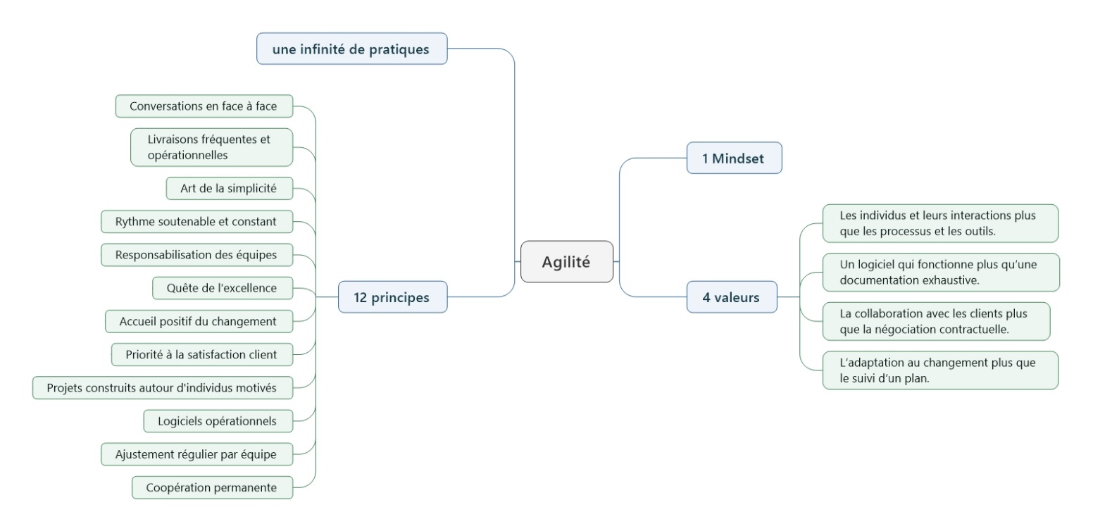 Figure 1 : Agilité, 1
          mindset, 4 valeurs, 12 principes et une infinité de pratiques