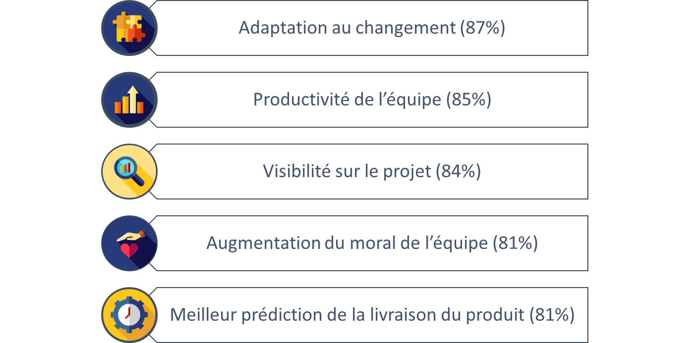 Figure 18 :
                  Bénéfices de l'agilité selon ses utilisateurs