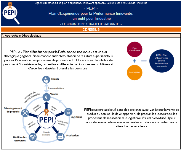 Figure23_Onglet_de_conseil_de_l_outil_PEPI.png