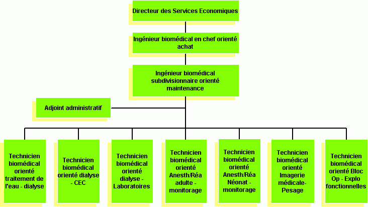 organigramme