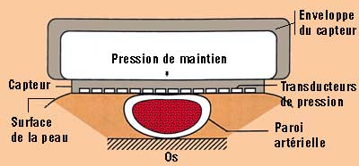 sch&eacute;ma du capteur tonom&eacute;trique