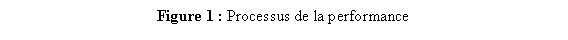Zone de Texte: Figure 1 : Processus de la performance