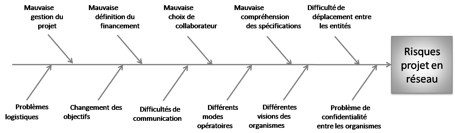Figure 9: Diagrammes ISHIKAWA des Risques du projet en réseau