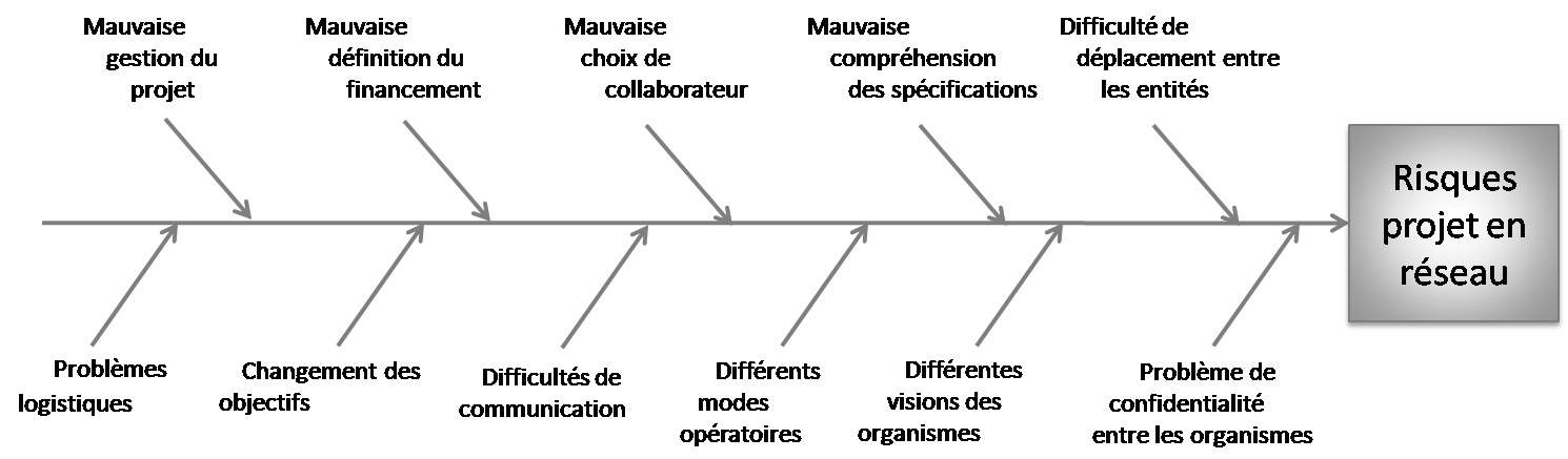 Figure 9: Diagrammes ISHIKAWA des Risques du projet en r&eacute;seau