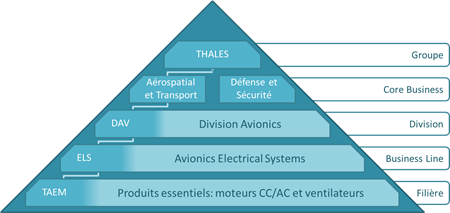 thales divisions