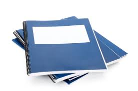 logo rapport