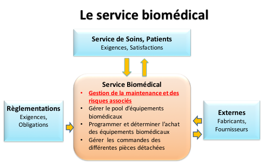effet_organisation_service_biomedical