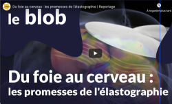 Le blob